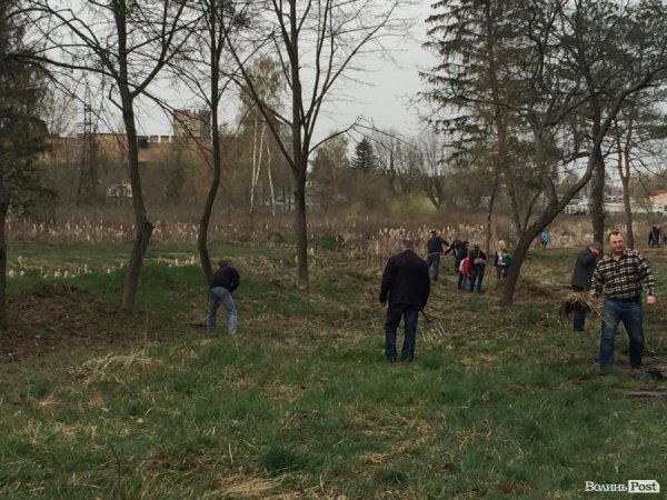 У Луцьку працівники ПриватБанку прибирали і садили дерева в парку ім. Лесі Українки. ФОТО