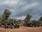 Німеччина передасть Україні Patriot, IRIS-T, гармати Gepard і танки Leopard