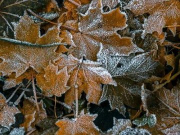 Погода у Волинській області та Луцьку на середу, 10 листопада