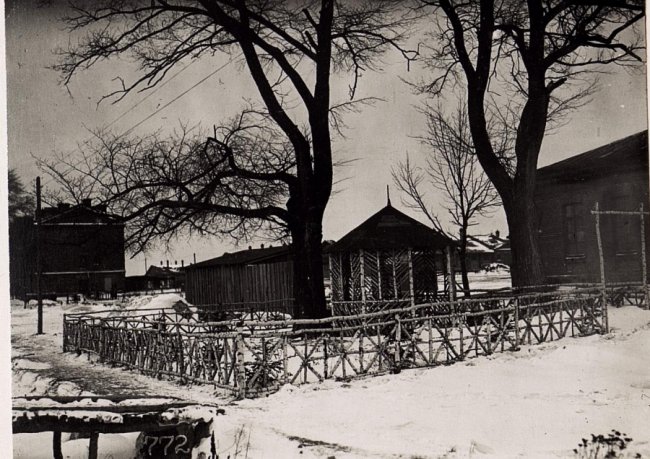 Зимові панорами Волині на столітніх фото