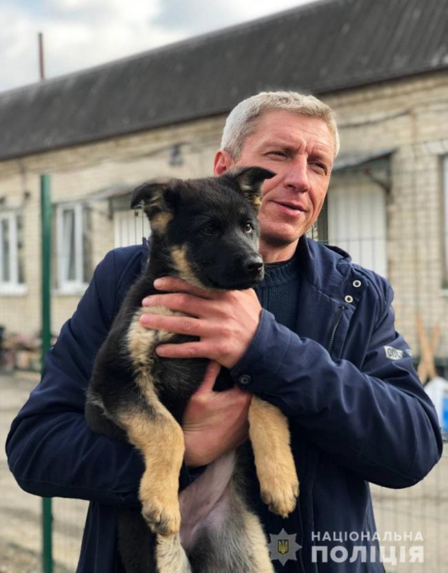 Як живеться хвостатим «службовцям» у кінологічному центрі волинської поліції