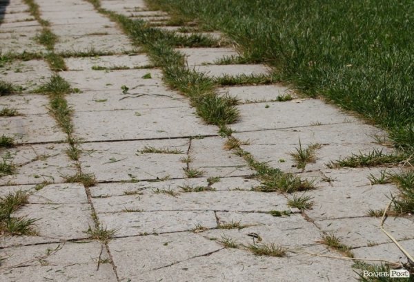 Луцький зоопарк планували розширити ще за Кривицького. ФОТО