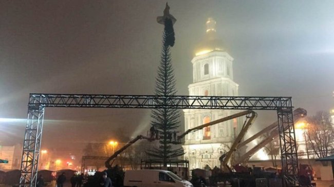 У Києві почали збирати головну ялинку країни. ФОТО