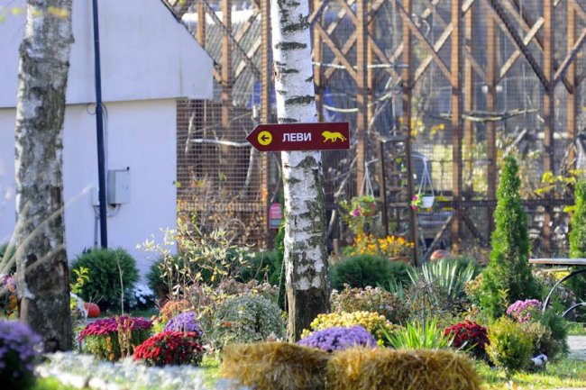 Мешканці Луцького зоопарку – в очікуванні зими. ФОТО