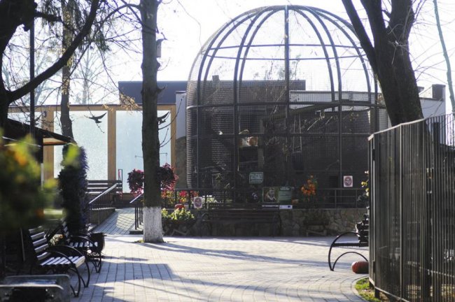 Мешканці Луцького зоопарку – в очікуванні зими. ФОТО