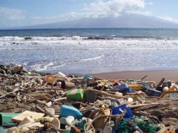 Вчені дослідили Чорне море: результати шокували