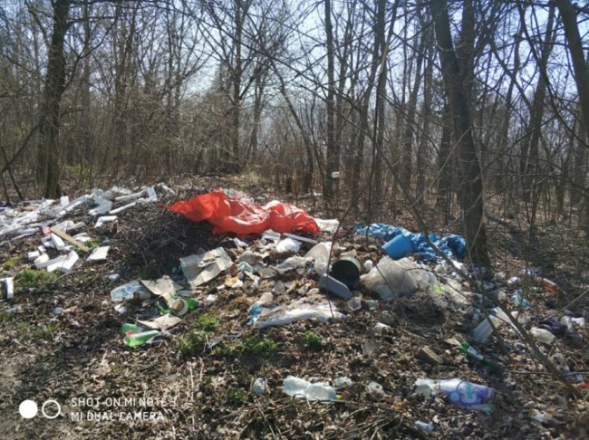 «Який вірус вразив голови людей?»: волиняни влаштували стихійне сміттєзвалище у лісі. ФОТО