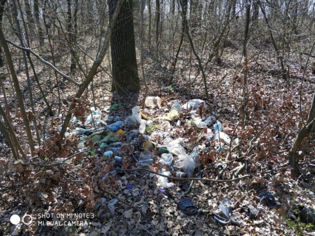 «Який вірус вразив голови людей?»: волиняни влаштували стихійне сміттєзвалище у лісі. ФОТО