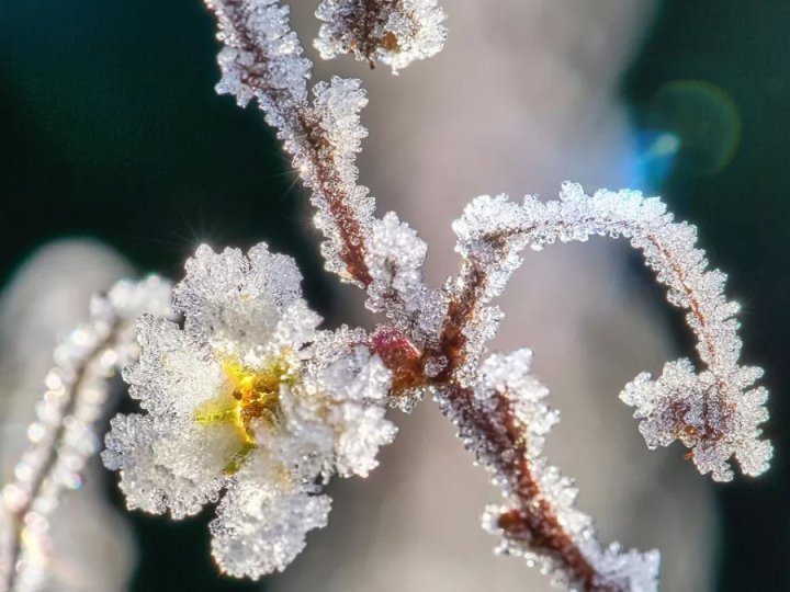Штормовий вітер і заморозки: Україну накриє небезпечна погода до кінця квітня