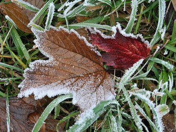 Зима на порозі: українців  попереджають про заморозки 