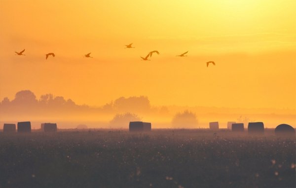 Пейзажі золотої пори: відтінки осені в Україні. ФОТО