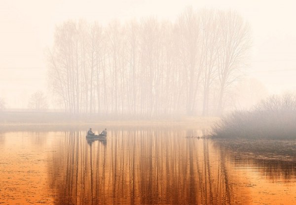 Пейзажі золотої пори: відтінки осені в Україні. ФОТО