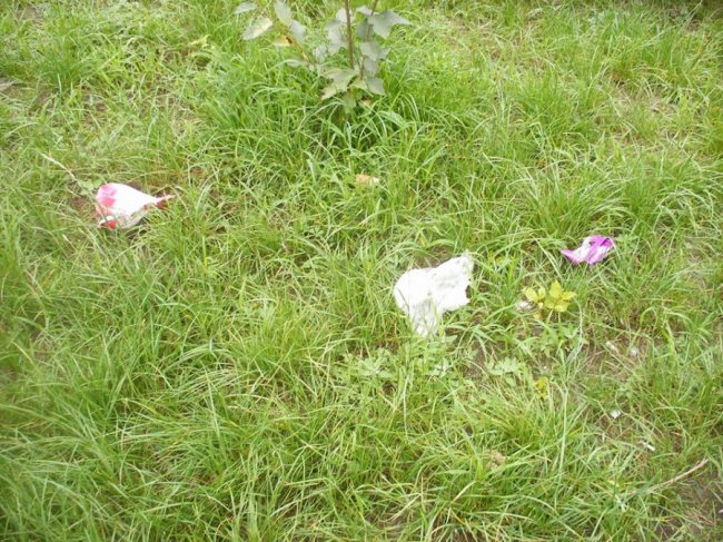 У Ковелі газон закидали сміттям і підгузками. ФОТО