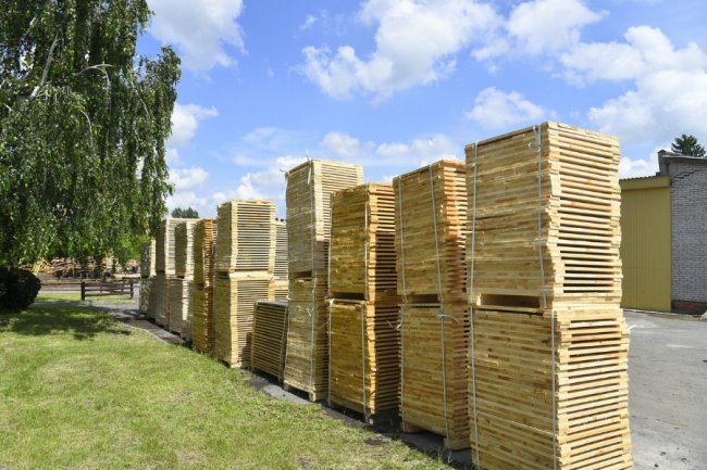 Як на Волині функціонує одне із найпотужніших деревосушильних господарств. ФОТО