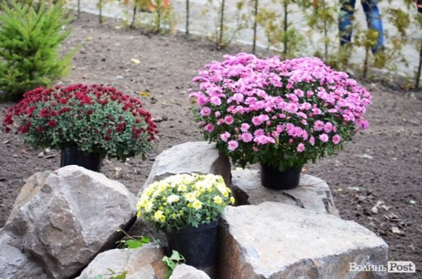 Як луцький депутат виконує свої обіцянки. ФОТО