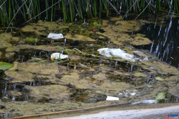 Як молодь прибирала Ковельське водосховище. ФОТО