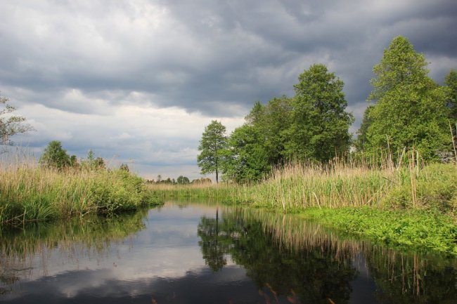 Волинський фотограф показав красу «високої води» річки Стохід. ФОТО