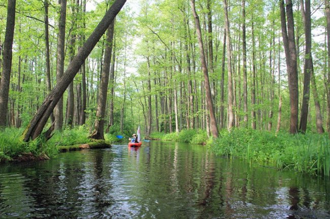 Волинський фотограф показав красу «високої води» річки Стохід. ФОТО