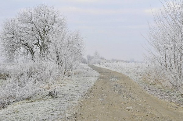 Волинь в льодяному тумані. ФОТО