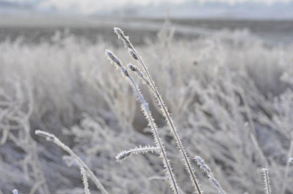 Волинь в льодяному тумані. ФОТО