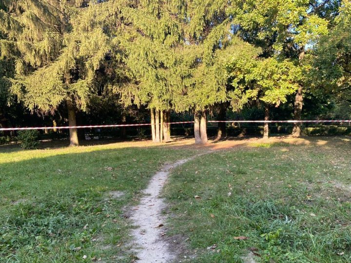 У Луцьку чоловік у парку накинувся на перехожу, душив та намагався  зґвалтувати