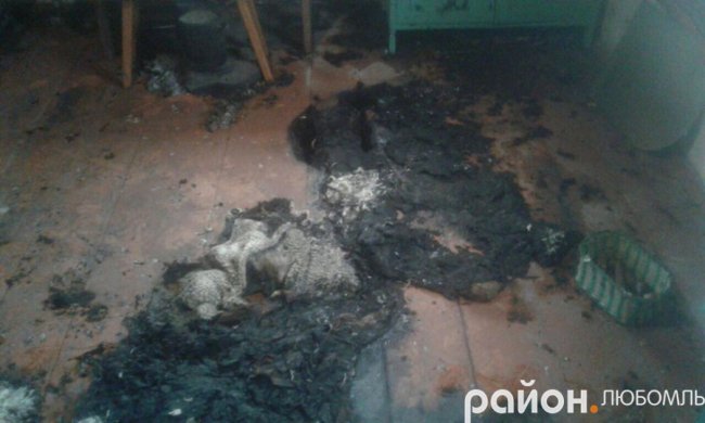 У селі на Волині в хаті згорів дідусь. ФОТО 