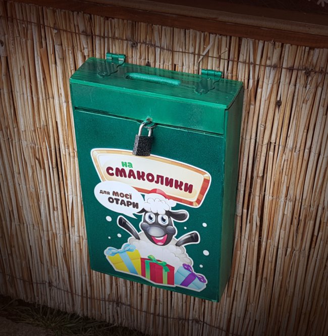 Шопка із живими ягнятами і святкові вогні: частину промислової вулиці у Луцьку перетворили на яскраву локацію