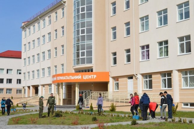 Лісівники та медики озеленили територію Волинського перинатального центру. ФОТО