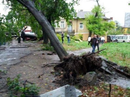 Фото наслідків урагану на Львівщині