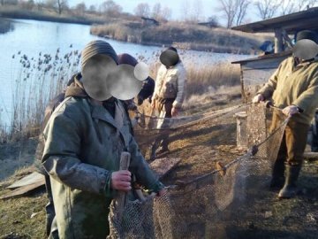 На Волині спіймали браконьєрів, які неводом зловили 100 кілограмів коропа та товстолоба