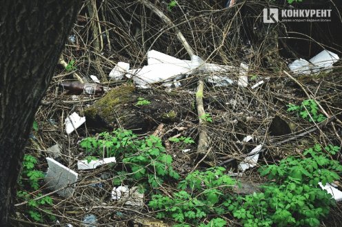 Луцьк неохайний: як після Великодня загидили місто