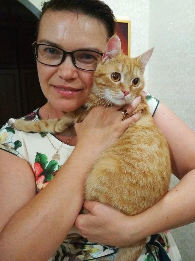 «Чарівна сила Facebook»: лучани усім миром розшукали зниклу кішку