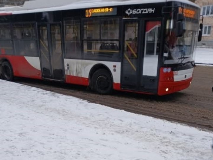 Скандал у Луцьку: водій тролейбусу висадила посеред вулиці пасажирку з собакою