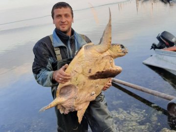 На Херсонщині рибалки впіймали величезну черепаху. ФОТО