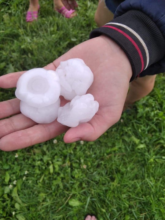 Olenka Zubko (Локачинський район)