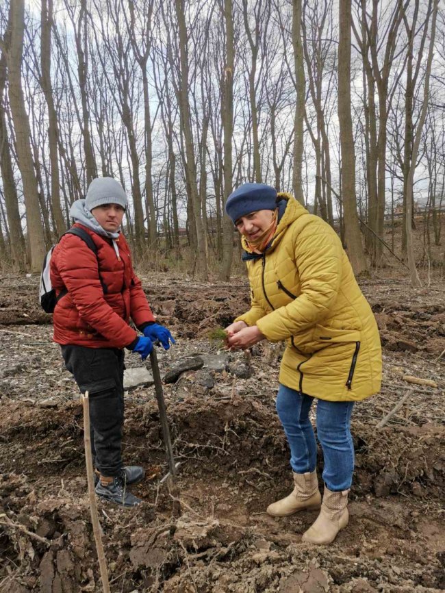 На Волині буде «сонячний ліс» від «сонячних дітей».ФОТО
