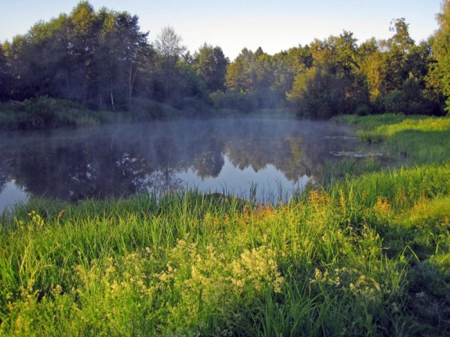 Дика природа  і таємничі місця: як на Волині розвивають велотуризм. ФОТО