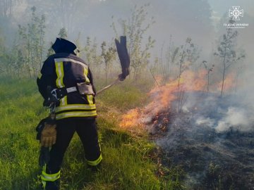 Цього року пожежі в екосистемах Волині охопили десятки гектарів
