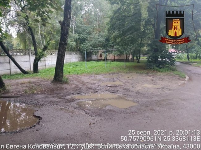 За стоянку на газоні луцькі водії заплатять штраф. ФОТО