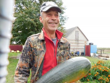 Подружжя з Волині вирощує кабачки-велетні 