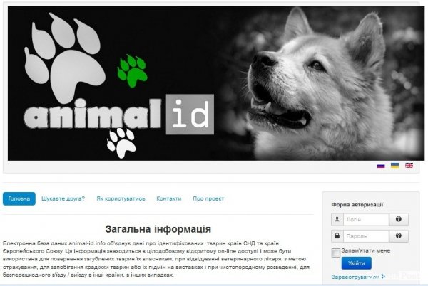 У Луцьку вводять електронну реєстрацію собак