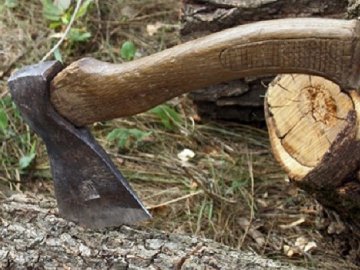 Держпідприємство накоїло чималої шкоди у волинських лісах