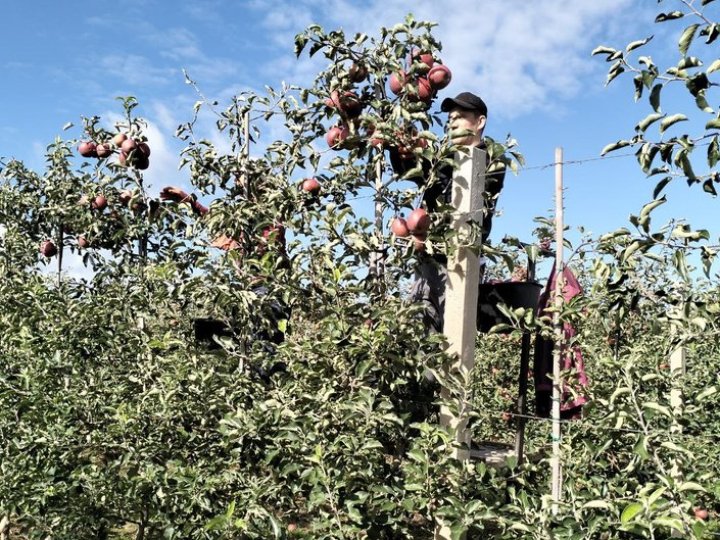 Переселенці і ветерани на Волині опановують агробізнес