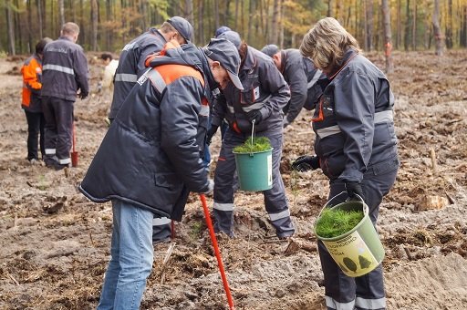 Волинські газовики садять дерева та закликають використовувати електронні квитанції за розподіл газу