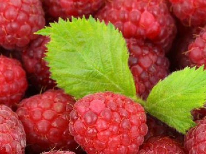 Малини майже немає: скільки коштують сезонні ягоди на ринках Луцька
