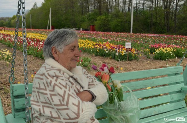 «Квітка, як і людина, має душу». На Волині розпочався фестиваль тюльпанів. ФОТО