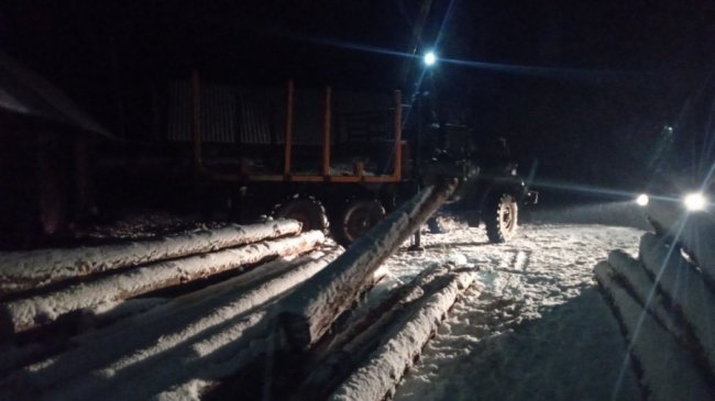 На Волині крадії втікали від лісової охорони і підкинули деревину у чужий двір