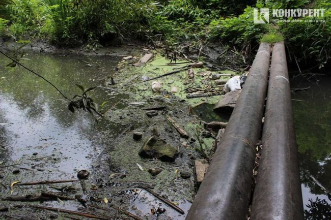 Лучани знову засмітили місце, де нещодавно проводили загальноміську толоку. ФОТО