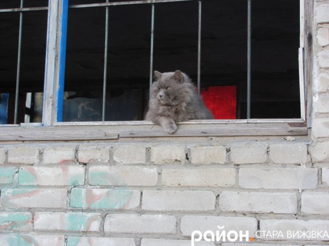 У селищі на Волині колишній кінотеатр перетворюється на руїни. ФОТО