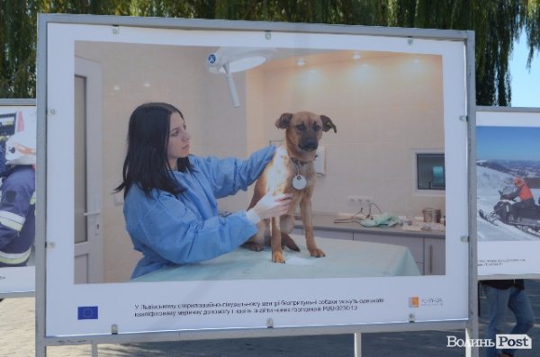 Фотовиставка на Театральному майдані в Луцьку. ФОТО